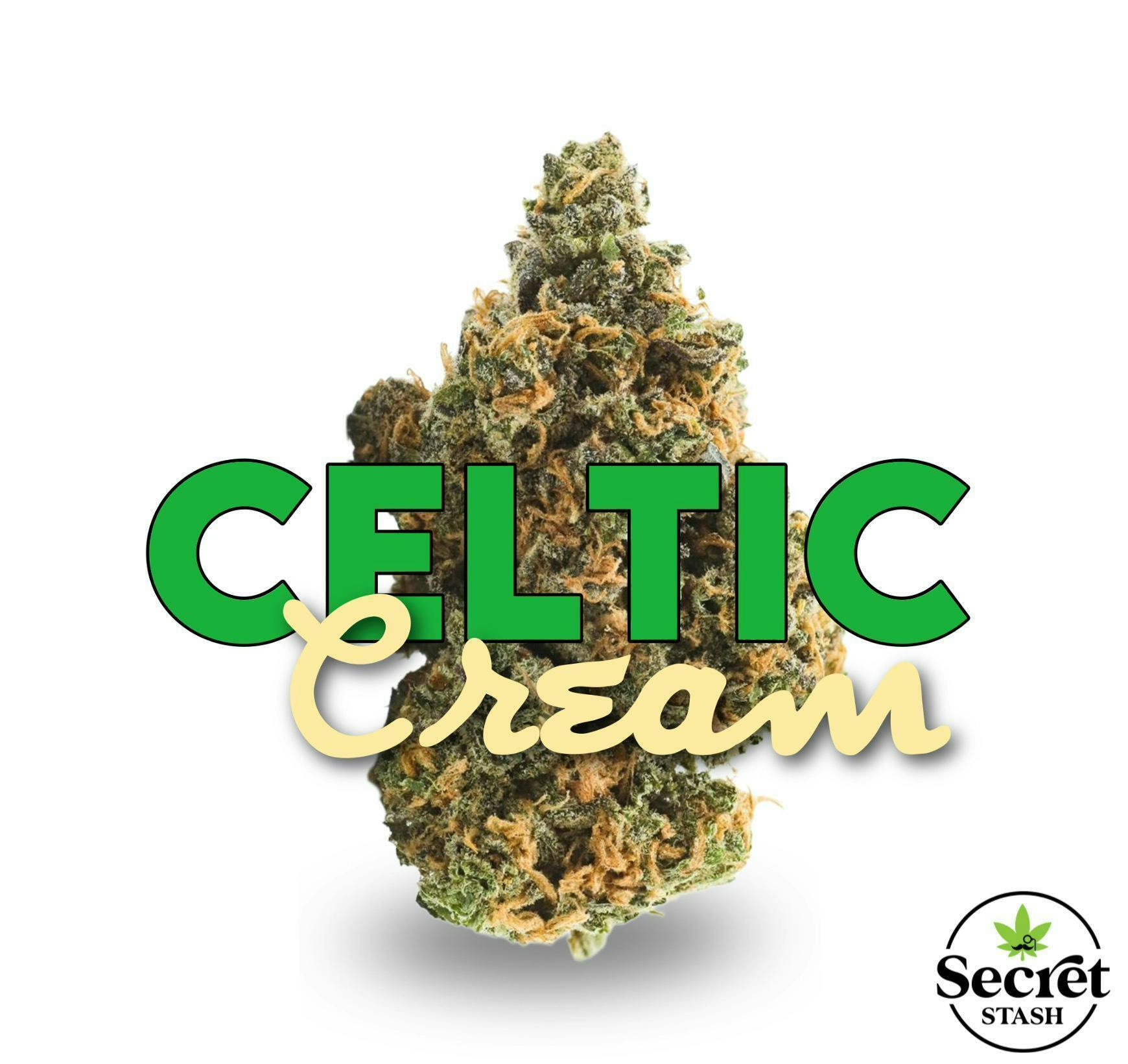 Secret Stash Flower - Celtic Cream - image 1