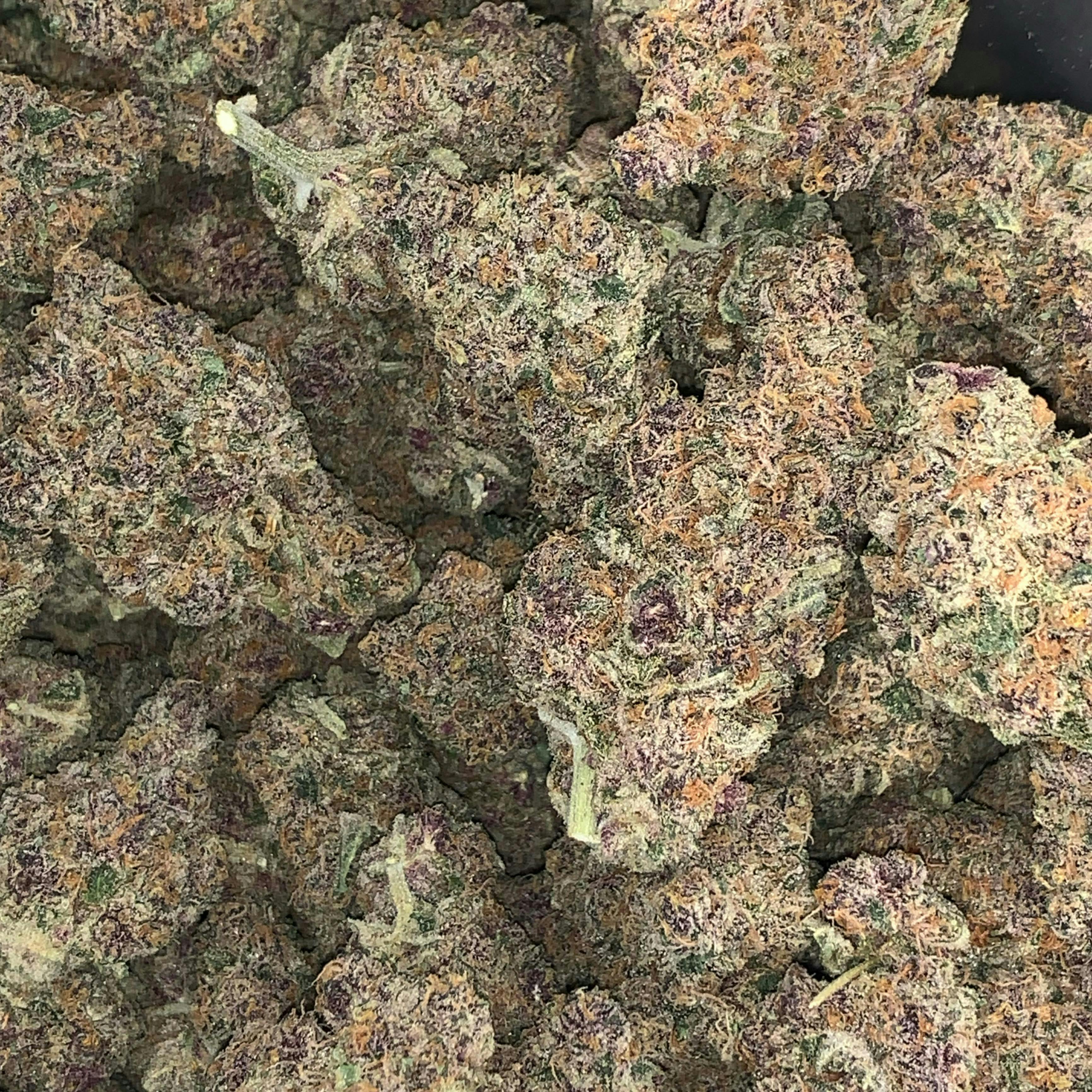 Secret Stash Flower - Frozay - image 1