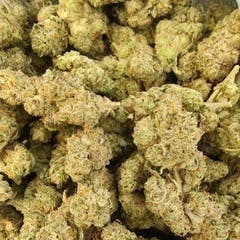 Secret Stash Flower - GMO - image 1