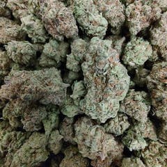 Secret Stash Flower - Grape Durban - image 1