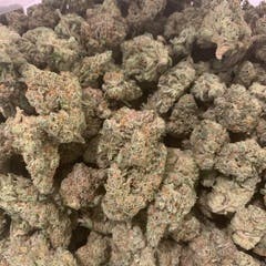 Secret Stash Flower - Orange Diesel - image 1