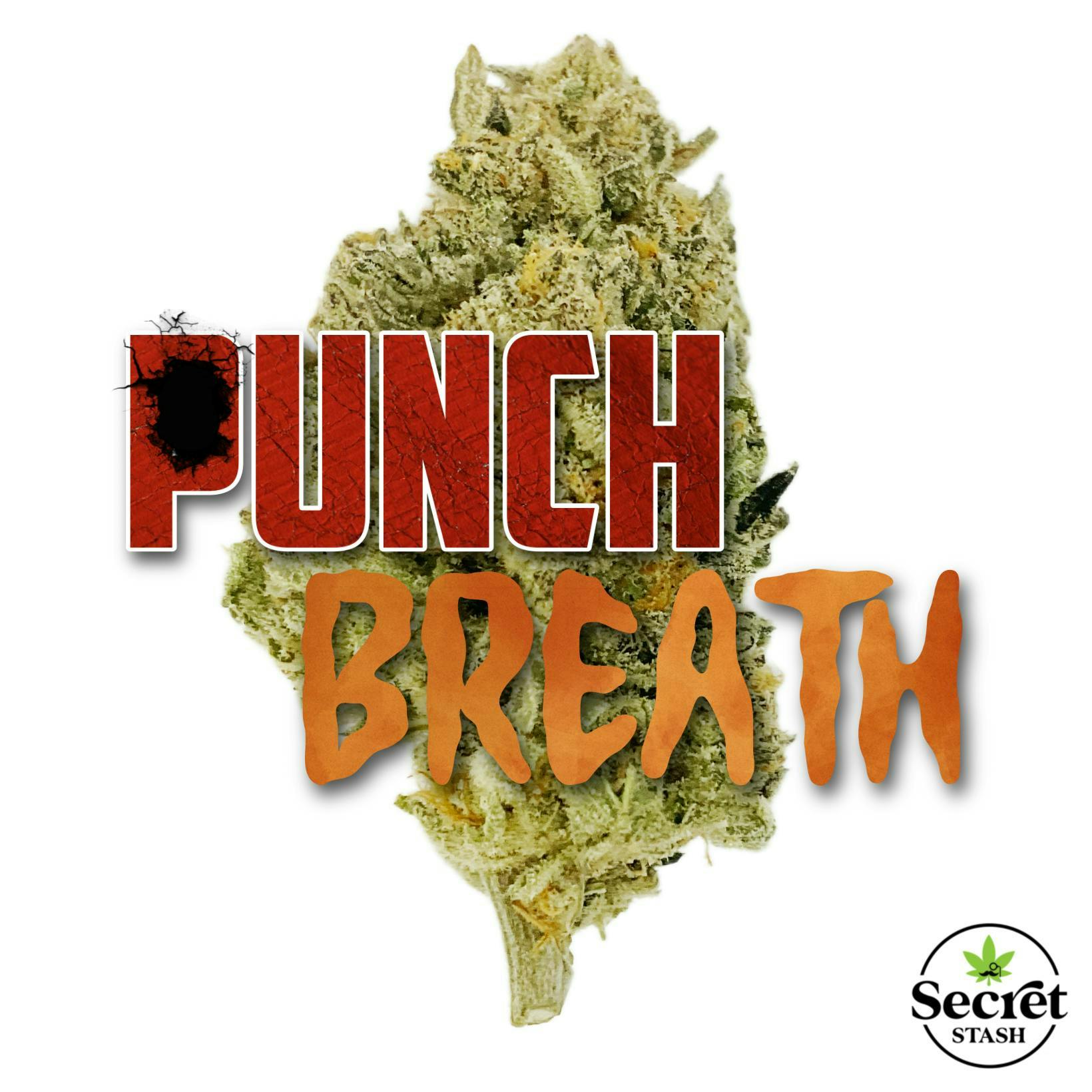 Secret Stash Flower - Punch Breath - image 1