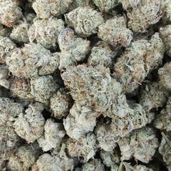 Secret Stash Flower - Raspberry Beret - image 1