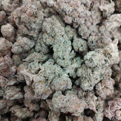 Secret Stash Flower - Slurricane - image 1