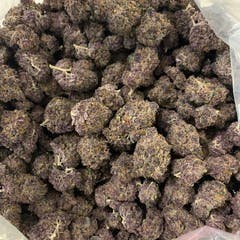 Secret Stash Flower - Tropicana Cherry - image 1