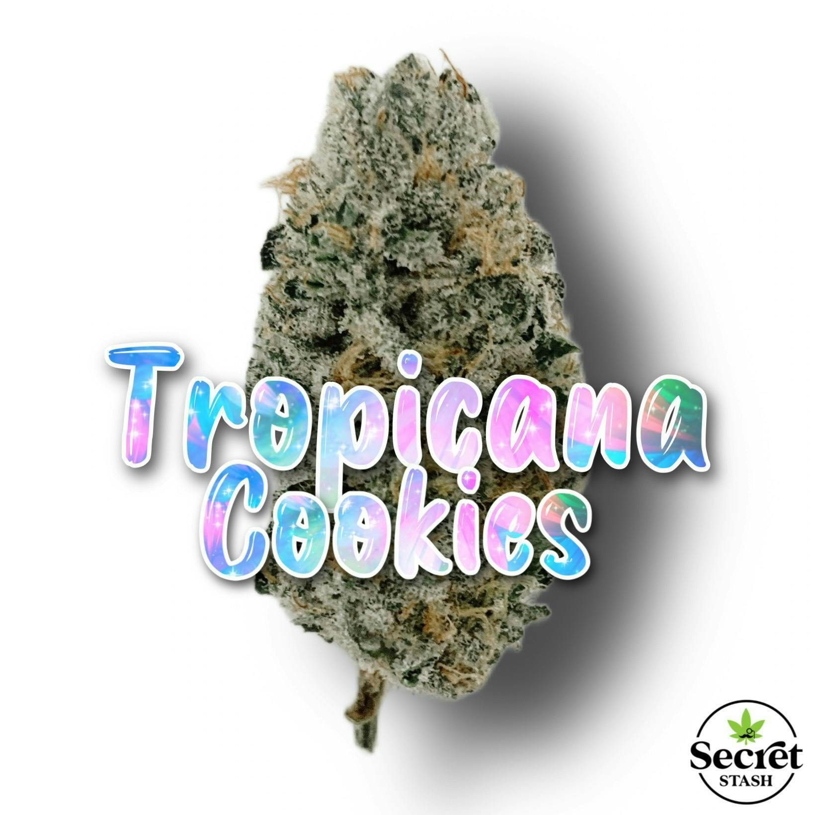 Secret Stash Flower - Tropicana Cookies - image 2