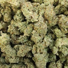 Secret Stash Flower - Tropicana Cookies - image 1