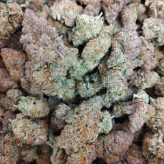 Secret Stash Flower - White Hot Guava - image 1