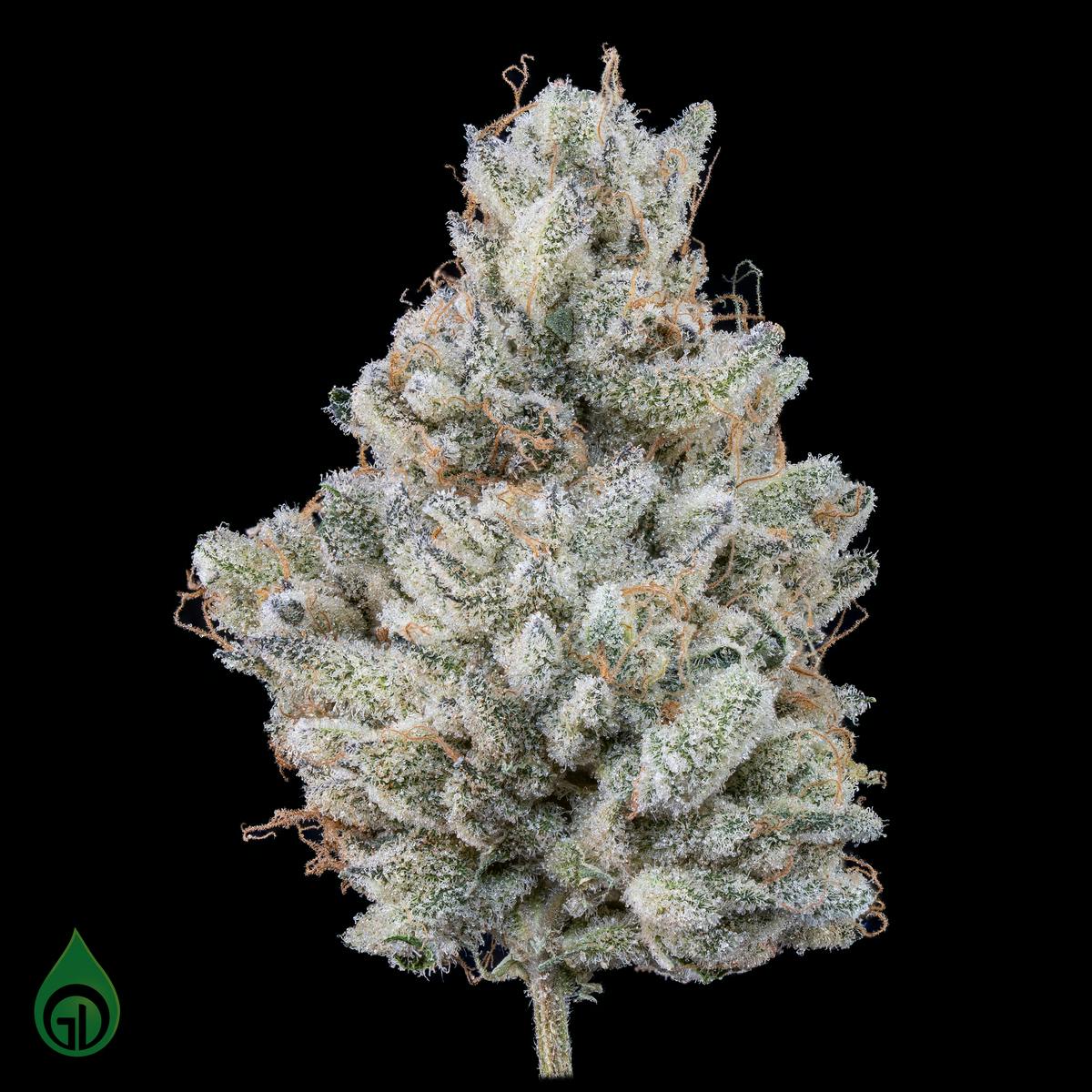 GDL Black Label Flower (14g) | Candy Cake - image 2