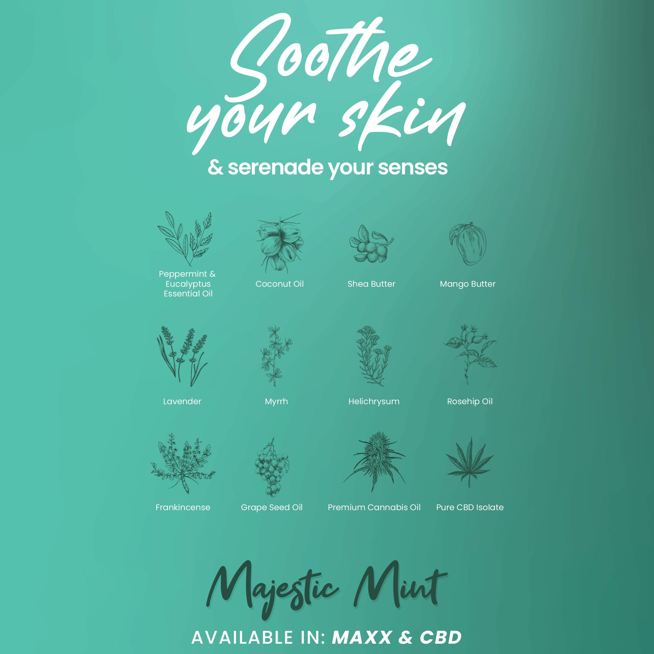 75mg THC : 75mg CBD | MAXX TO-GO Majestic Mint Body Rub | MED - image 1