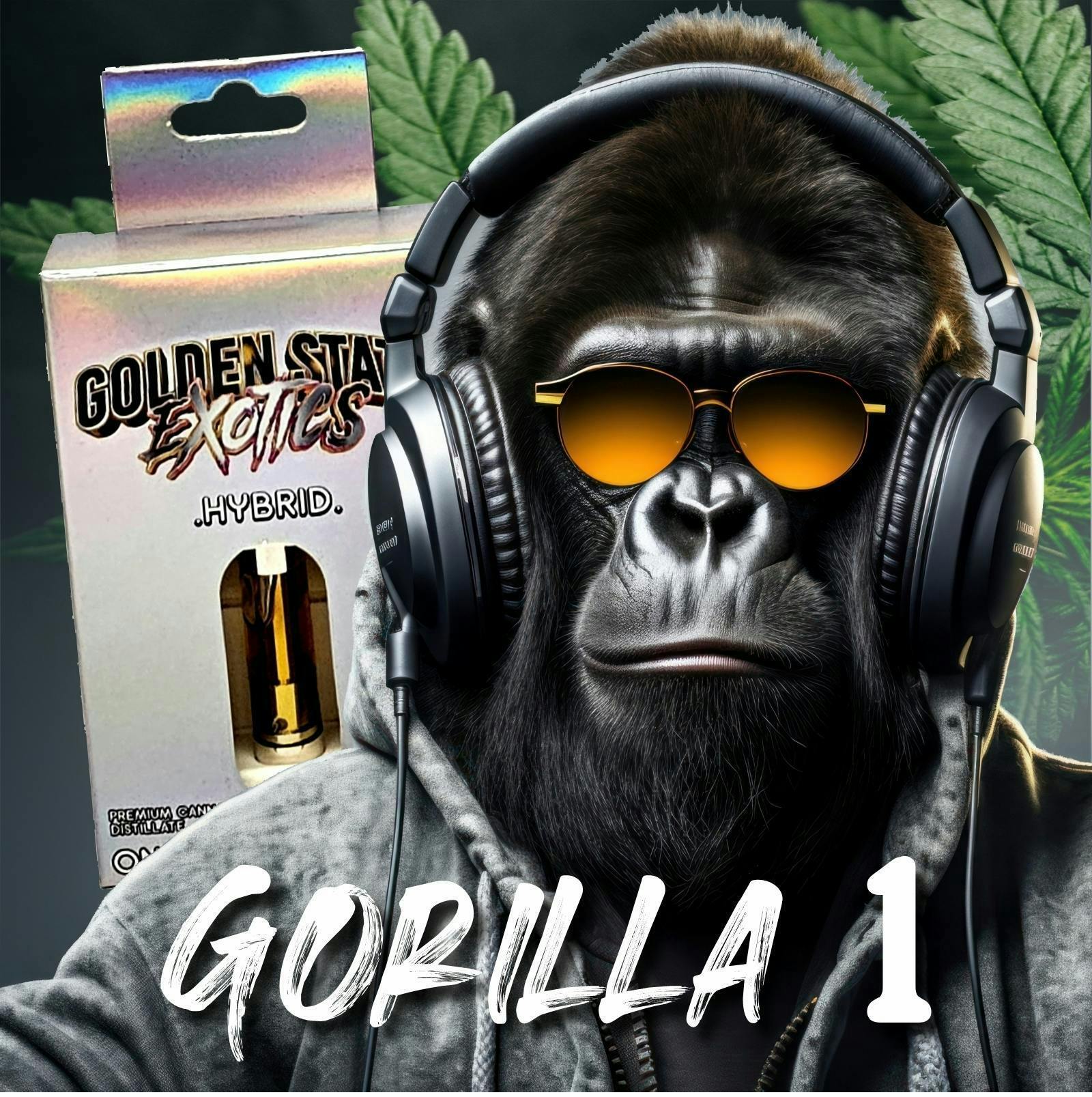Gorilla 1 - image 1