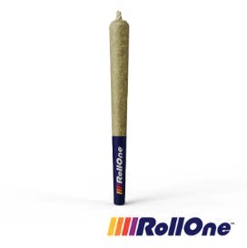 Mango Mintality Pre-Roll [1g] - image 1