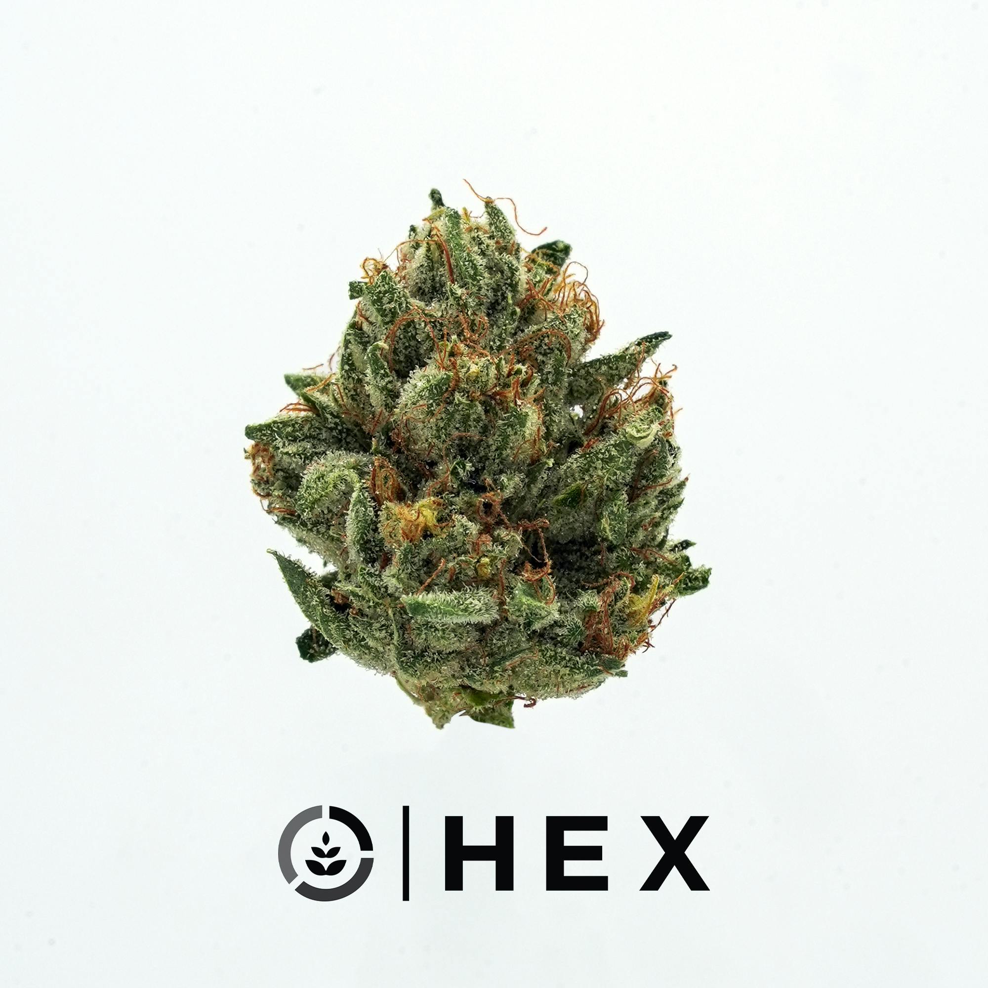 HEX | Emperor OG Smalls | 7G - image 1