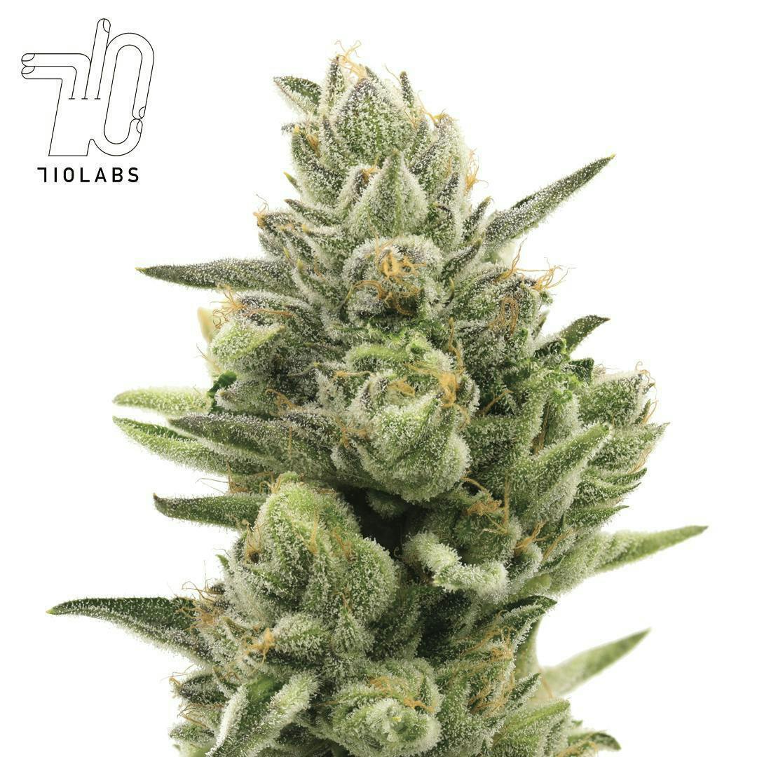 Hot Lixz #16 - 14g Flower - image 1