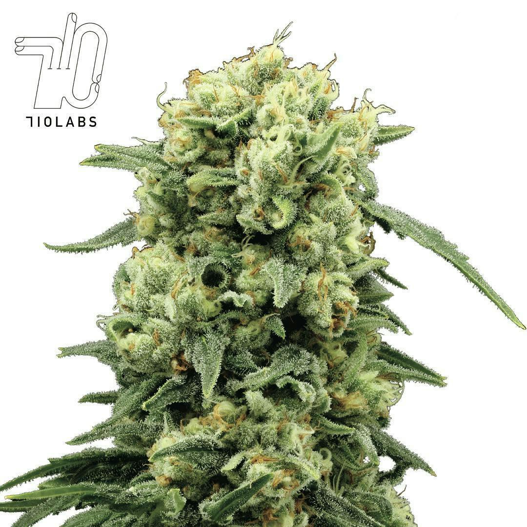 Odder Popz Flower - image 1