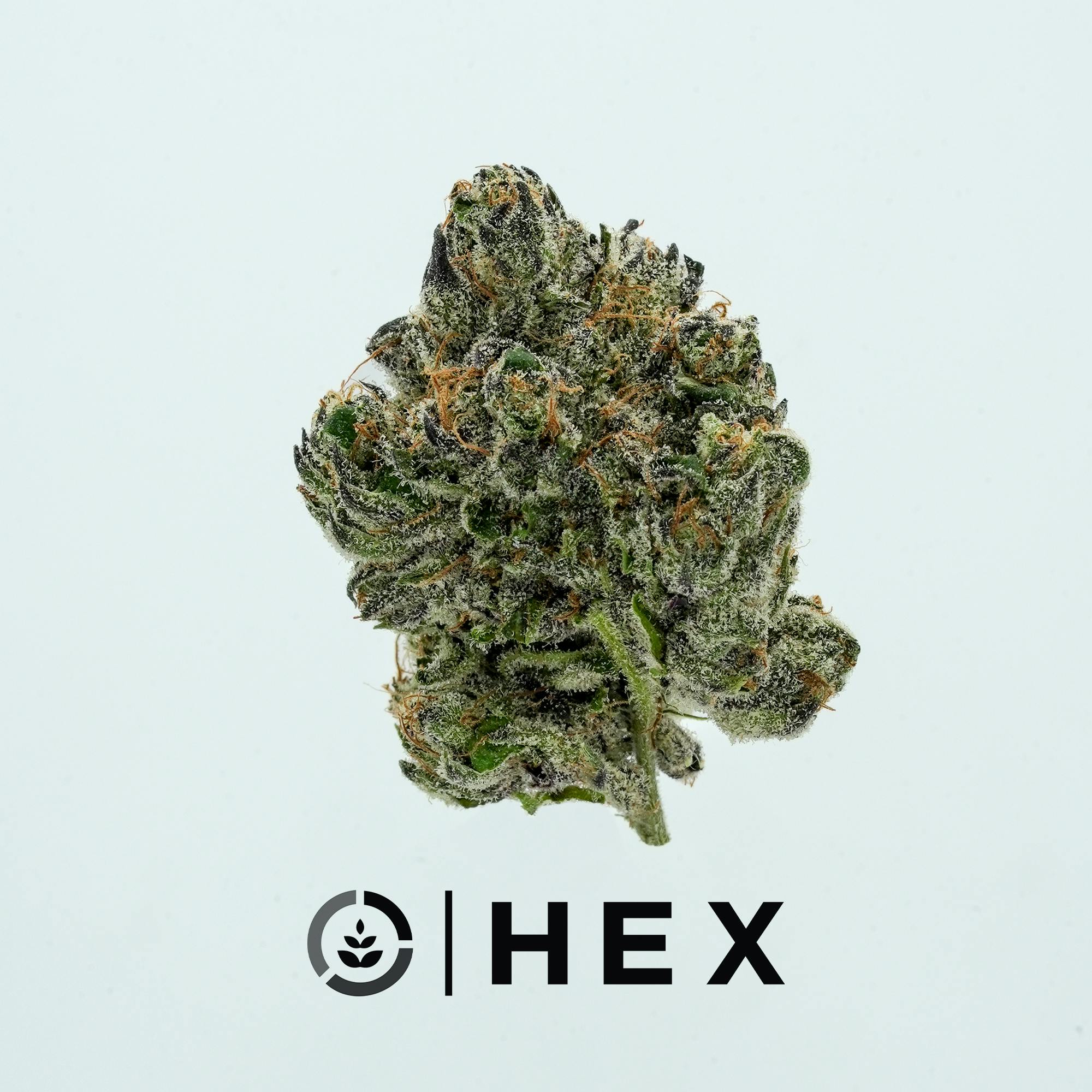 HEX | Tropical Runtz | 3.5G - image 1