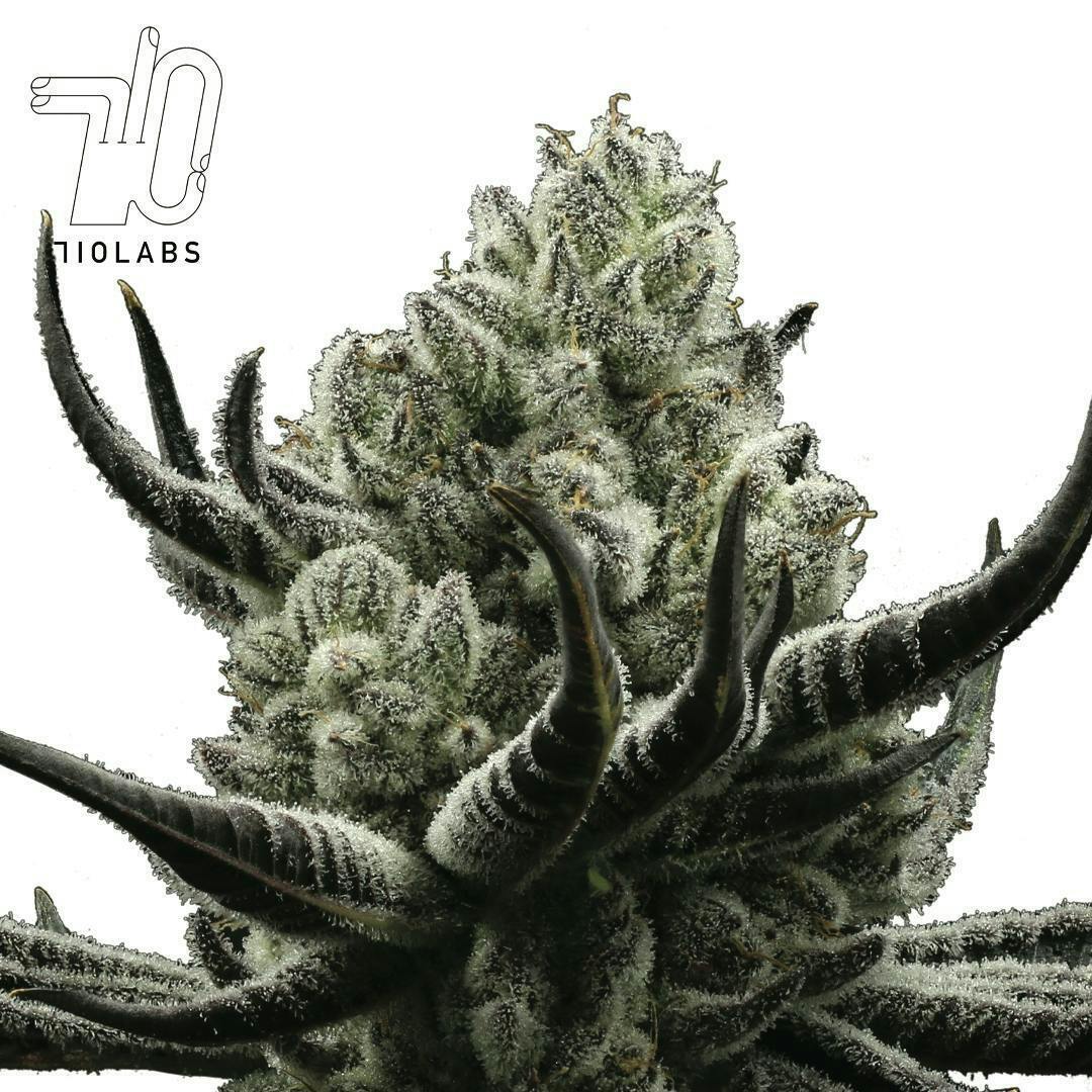 Cake Crashers - 7g Flower - image 1