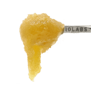 Randy Watzon #13 Persy Sauce (2g) - image 1