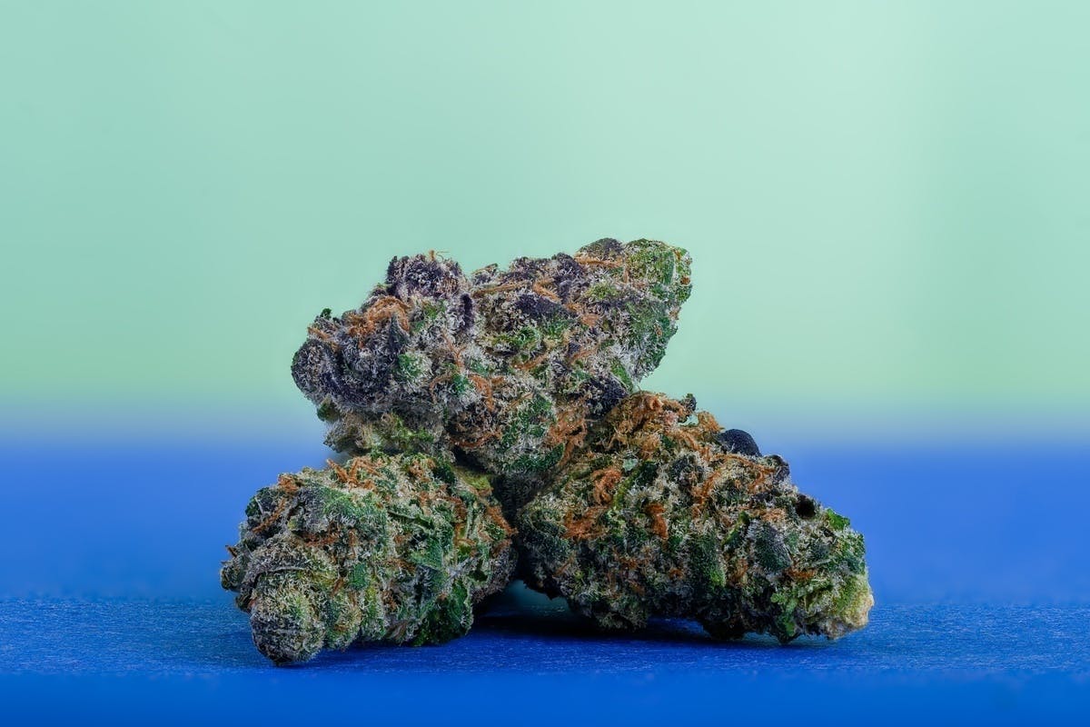 Blue Blockers Flower 14g - image 1