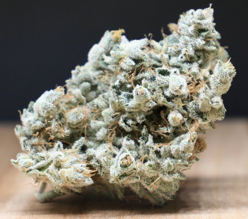 GMO thumbnail 2