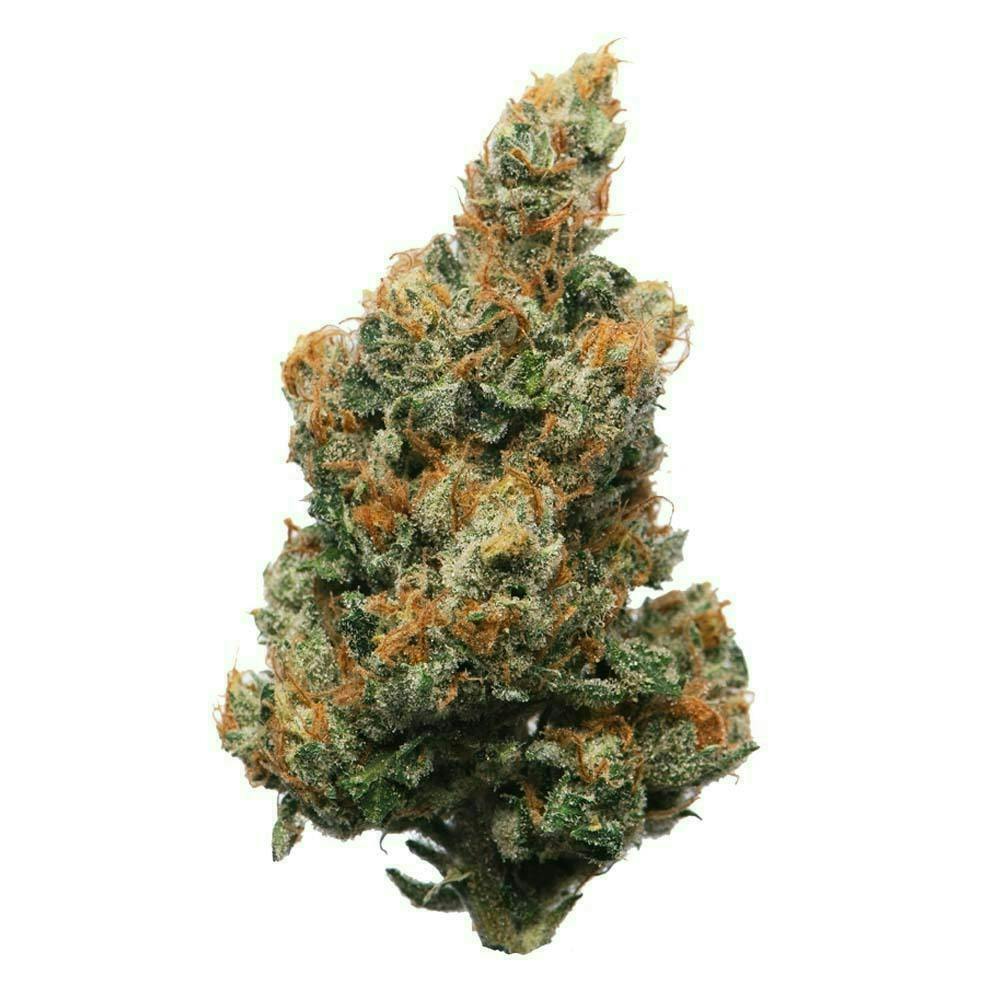Proper Cannabis - Memory Loss | 1g - image 1
