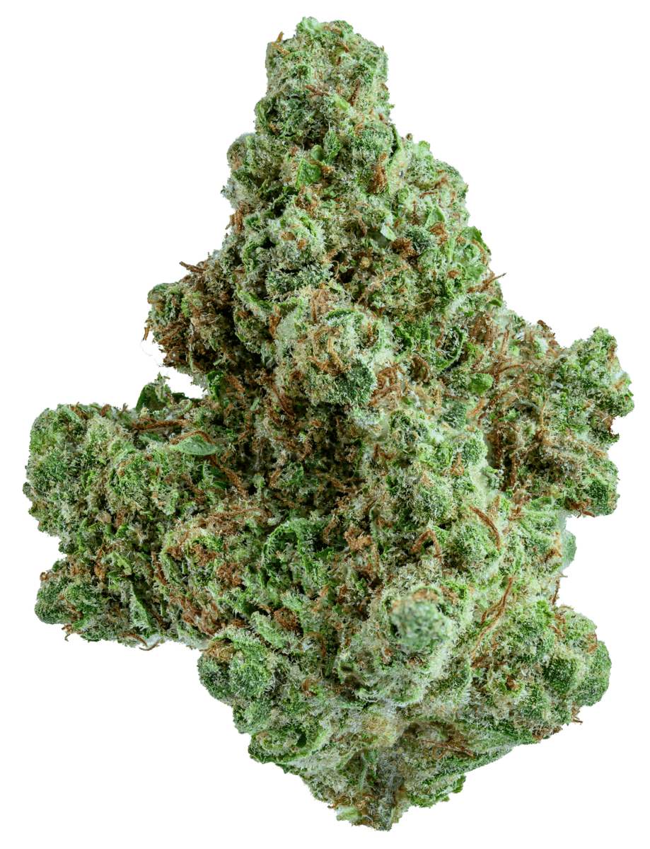 GOLD STANDARD | BERRY PIE | 3.5G | SATIVA | - image 1