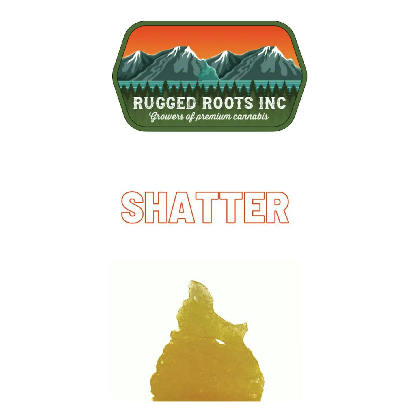 Rugged Roots - Mimosa 1g Shatter - image 1