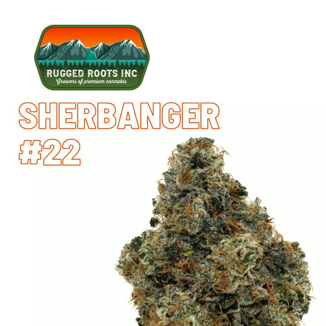 Rugged Roots - Sherbanger #22 3.5g Smalls Flower - image 1