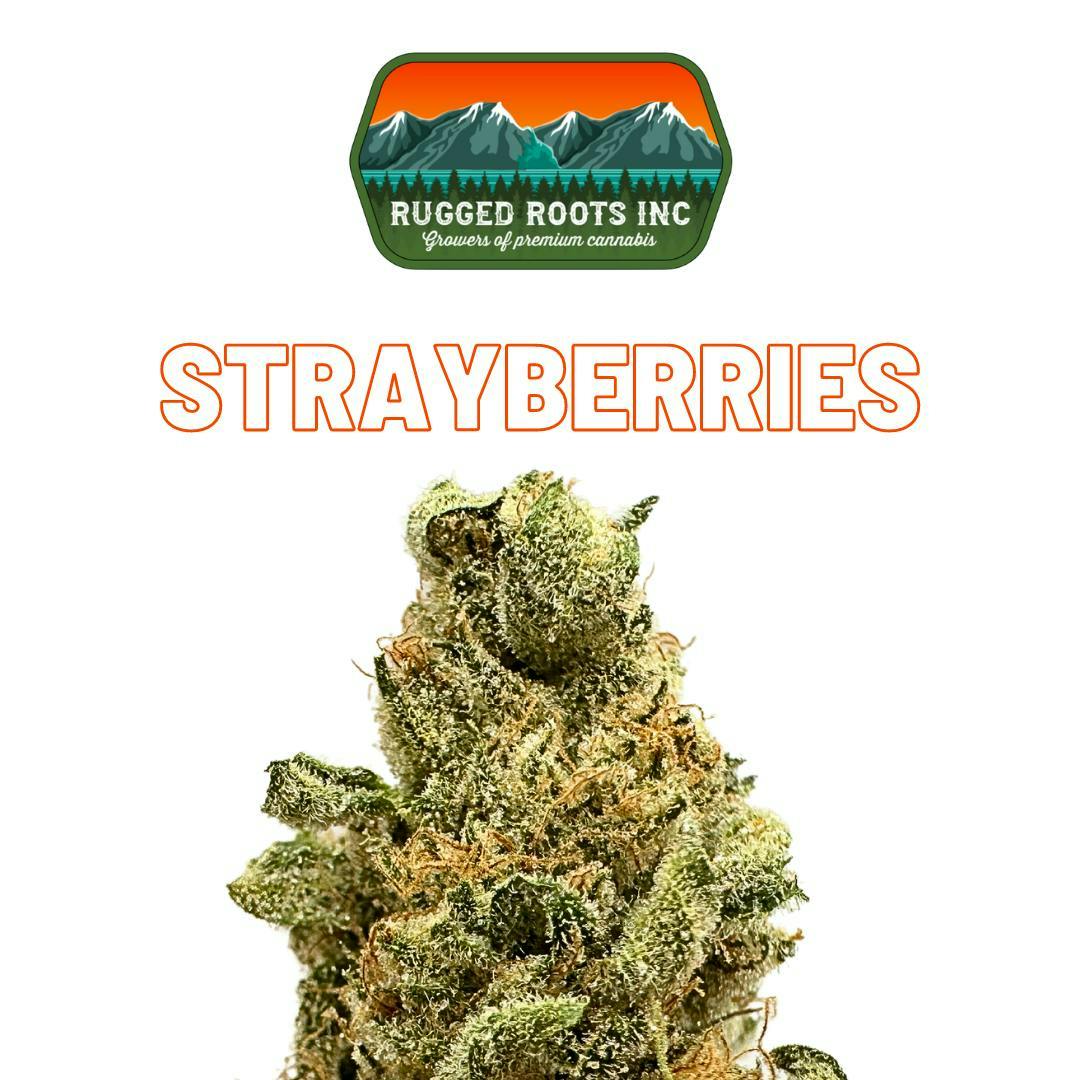 Rugged Roots - Strayberries 3.5g Flower - image 1
