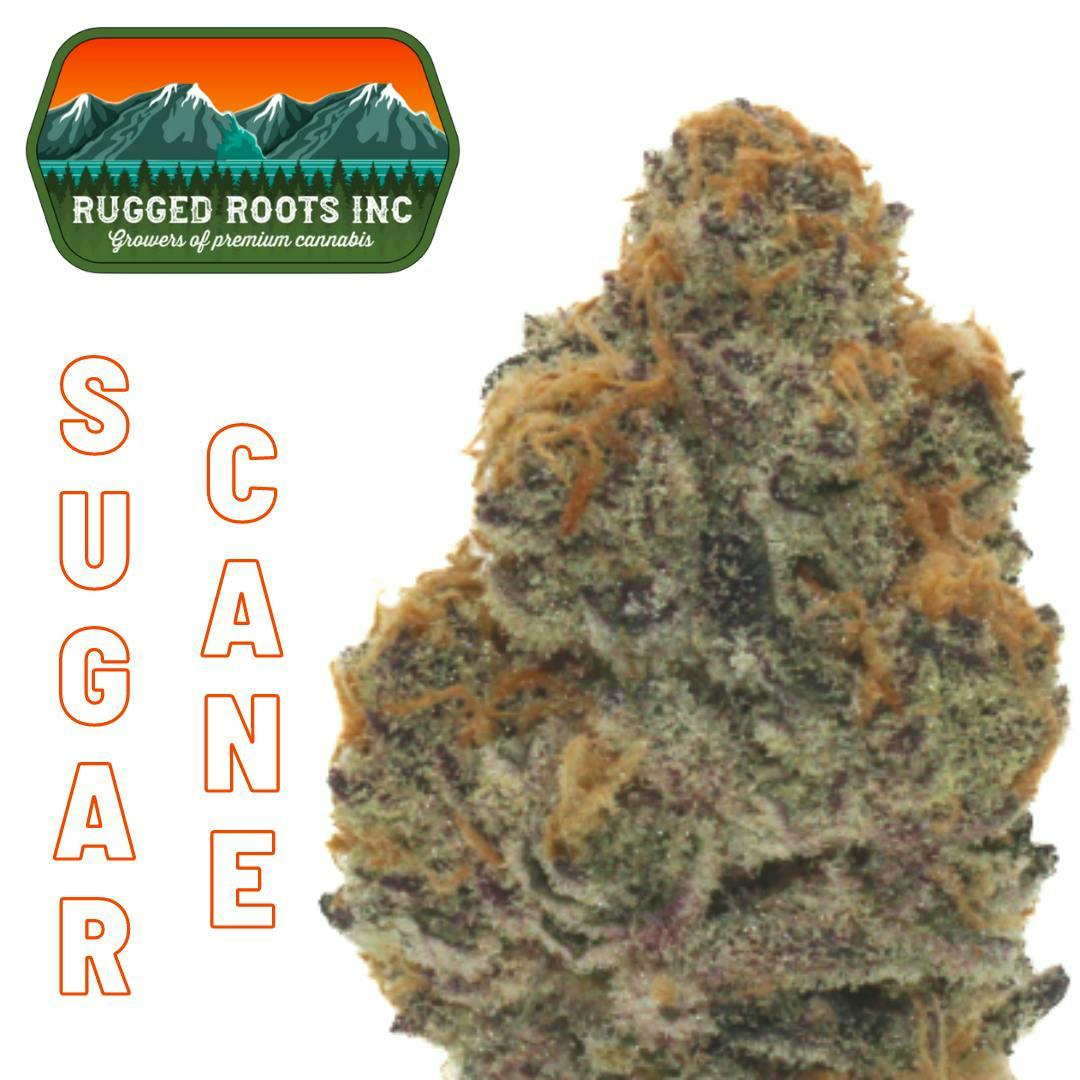 Rugged Roots - Sugarcane 3.5g Smalls Flower - image 1
