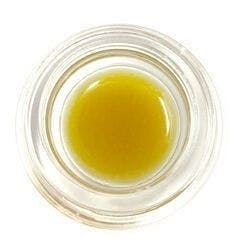 Cured Badder (Pre-Packed) - White Runtz - Green Trap / Green Truck - image 1