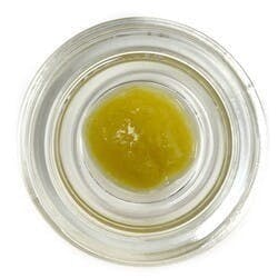 Cured Badder (Pre-Packed) - Watermelon Gelato - B's Trees / Green Truck - image 1