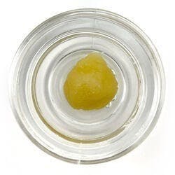 Cured Badder (Pre-Packed) - Gaschata - Sky Tide / Green Truck - image 1