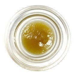 Cured Badder (7g Bulk Jar) - Strawberry Cooler - Northern Terps / GTF - image 1
