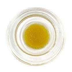 Live Resin (Pre-Packed) - Punch Breath - Eastern Roots / Green Truck - image 1