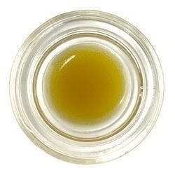 Live Badder (Pre-Packed) - Grape Kush - Sea Point / Green Truck - image 1
