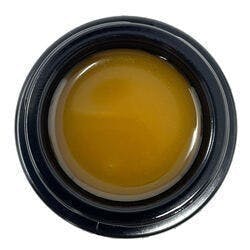 Live Badder (7g Bulk Jar) - Grape Kush - Sea Point / Green Truck - image 1