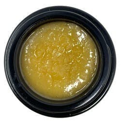 Live Badder (7g Bulk Jar) - Blue Nana - Northern Terps / GTF - image 1