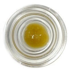 Cured Badder (Pre-Packed) - Blue Nana - Northern Terps / GTF - image 1