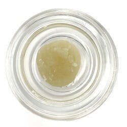 Cured Badder (Pre-Packed) - Ganache - Northern Terps / GTF - image 1