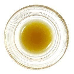 Cured Badder (Pre-Packed) - Tokyo Sunset - Right Coast Releaf / GTF - image 1