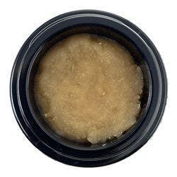 Cured Badder (7g Bulk Jar) - Grape Cream Cake - Northern Terps / GTF - image 1