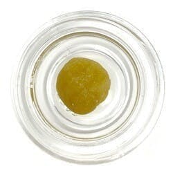 Cured Badder (Pre-Packed) - Butter Stuff - Cup of Sun / GTF - image 1