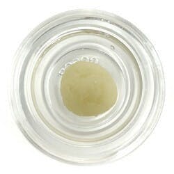 Cured Badder (Pre-Packed) - Alpine Guava - Northern Terps / Green Truck - image 1