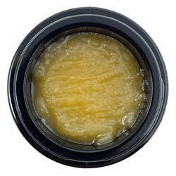 Cured Badder (7g Bulk Jar) Chem D - Ripple Wellness / GTF - image 1