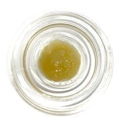 Cured Badder (Pre-Packed) - Mai Tai - Northern Harvest / Green Truck - image 1