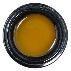 Live Badder (7g Bulk Jar) - Eastern Pine Berry - Northern Sol / GTF - image 1