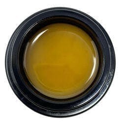 Live Badder (7g Bulk Jar) - Pine State Funk - Northern Sol / GTF - image 1