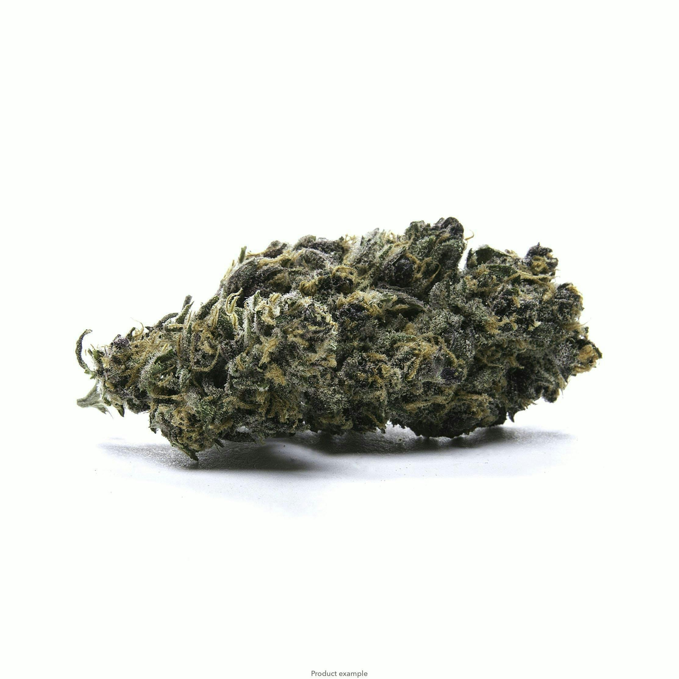 Flower - Divine Storm - 7g - image 1