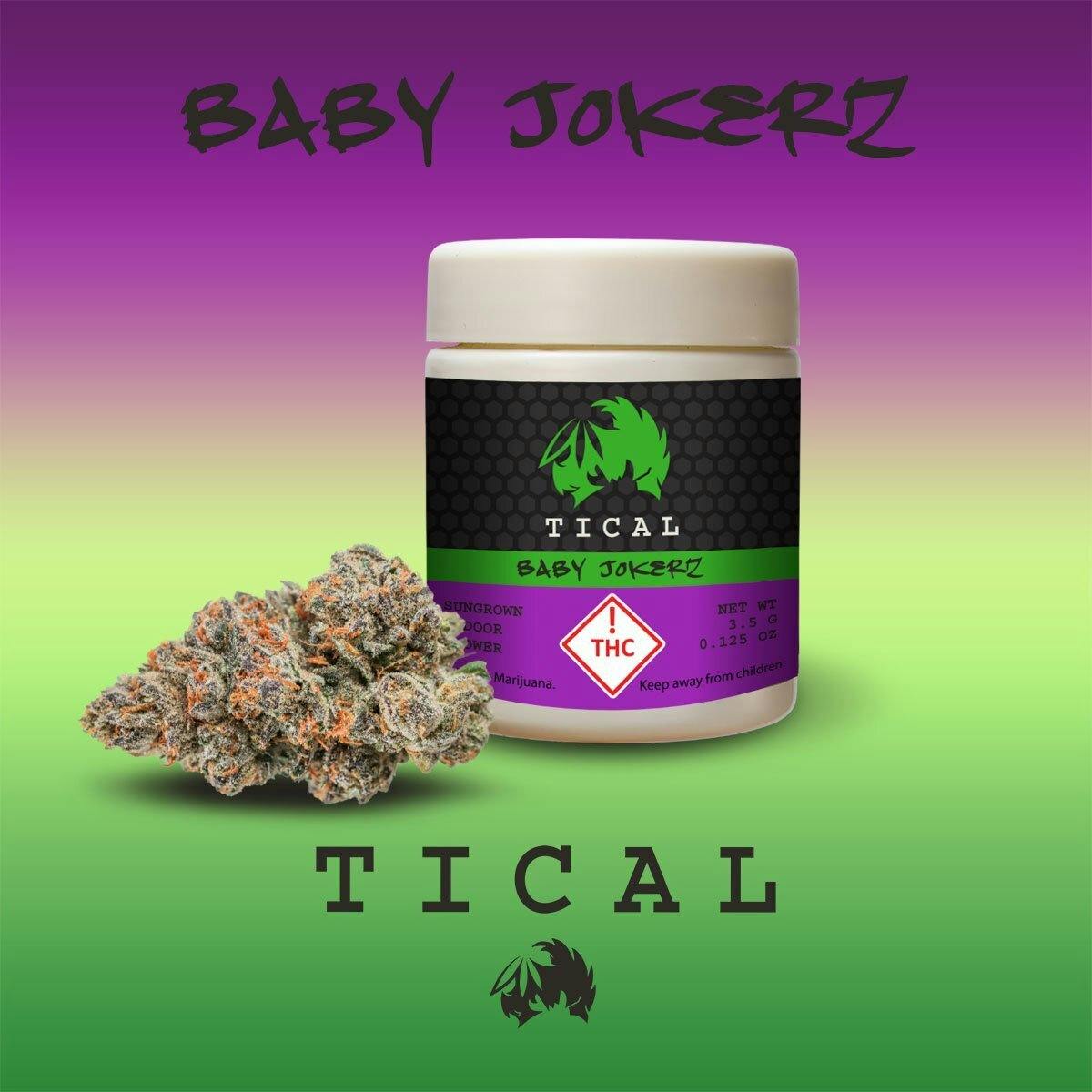 TICAL Baby Jokerz Flower - image 1